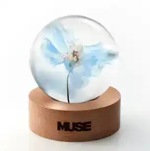 Product image 53